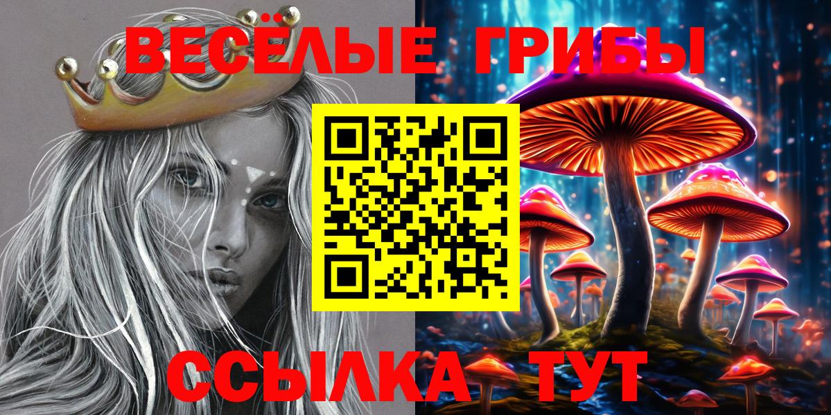 Рубцовск  продажа наркотиков  Вход с VPN  Псилоцибиновые грибы MAGIC MUSHROOMS 